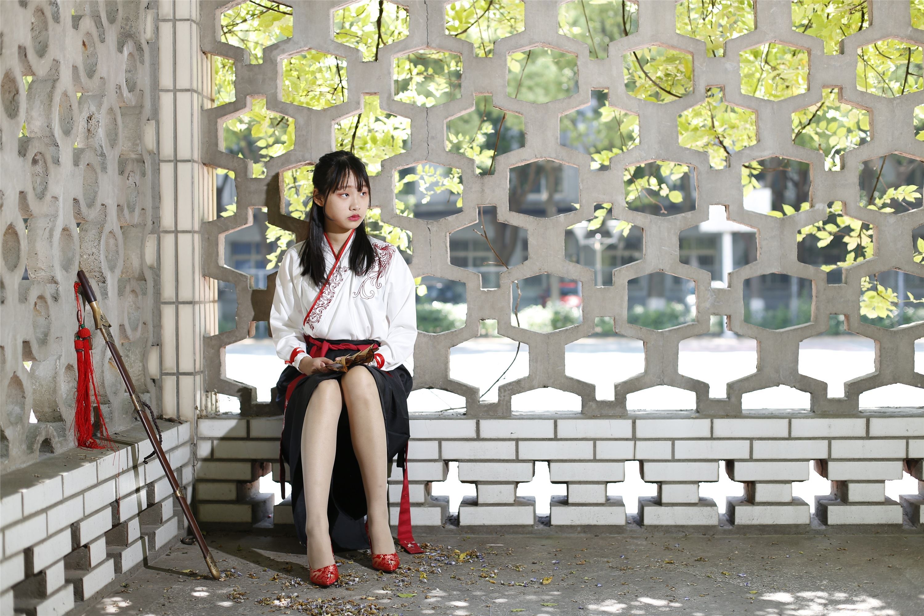 奈丝写真 NO.085 蛋白粉-汉服#侠骨柔情